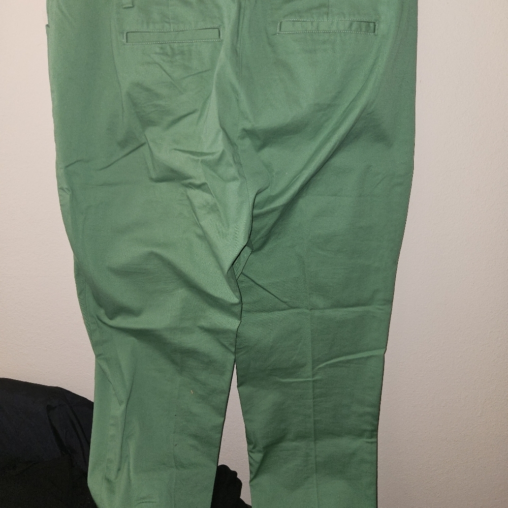 Lands End Womans Green Mid Rise Slim Leg Pants Size 16T - Picture 8 of 13
